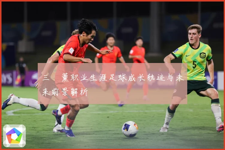 三笘薰职业生涯足球成长轨迹与未来前景解析